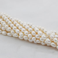 Riso coltivato in perla d'acqua dolce, perla d'acquadolce coltivata naturalmente, naturale, bianco, 8mm, Foro:Appross. 0.8mm, Venduto per Appross. 15 pollice filo