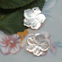 coquille blanche connecteur, fleur, naturel, boucle de 1/1, 18mm, Trou:Environ 1mm, 10PC/lot, Vendu par lot
