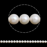 Brambor pěstované sladkovodní perle, Sladkovodní Pearl, přírodní, bílý, Grade AAAA, 9-10mm, Otvor:Cca 0.8mm, Prodáno za Cca 15.5 inch Strand