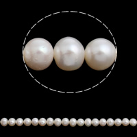 Cultured Potato Freshwater Pearl Beads natural white Grade AA 7-8mm Approx 0.8mm Sold Per Approx 15.5 Inch Strand