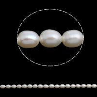 Riso coltivato in perla d'acqua dolce, perla d'acquadolce coltivata naturalmente, naturale, bianco, 4-5mm, Foro:Appross. 0.8mm, Venduto per Appross. 15.5 pollice filo