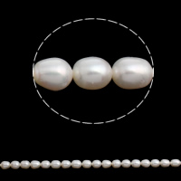 Riso coltivato in perla d'acqua dolce, perla d'acquadolce coltivata naturalmente, naturale, bianco, 6-7mm, Foro:Appross. 0.8mm, Venduto per Appross. 15.5 pollice filo