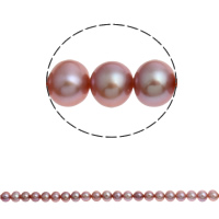 Bulvių išauginti gėlavandenių perlų karoliukai, Gėlo vandens perlų, Bulvė, natūralus, purpurinis, 7-8mm, Skylė:Apytiksliai 0.8mm, Parduota už Apytiksliai 15.5 Inch Strand