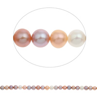 Perlas Redondas Freshwater, Perlas cultivadas de agua dulce, Esférico, natural, color mixto, 7-8mm, agujero:aproximado 0.8mm, Vendido para aproximado 15.5 Inch Sarta