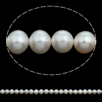 Perlas Redondas Freshwater, Perlas cultivadas de agua dulce, Esférico, natural, Blanco, 8-9mm, agujero:aproximado 0.8mm, Vendido para aproximado 15.5 Inch Sarta