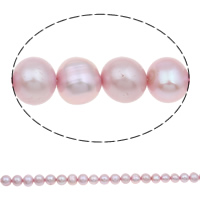 Bulvių išauginti gėlavandenių perlų karoliukai, Gėlo vandens perlų, Bulvė, natūralus, purpurinis, 7-8mm, Skylė:Apytiksliai 0.8mm, Parduota už Apytiksliai 15.3 Inch Strand