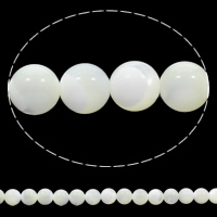 Perles en coquillage blanc naturel, coquille blanche, Rond, 6mm, Trou:Environ 1mm, Longueur Environ 15.5 pouce, 10Strandstoron/sac, Environ 65PC/brin, Vendu par sac