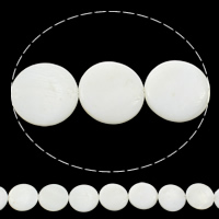 Natürliche weiße Muschelperlen, flache Runde, 18x3mm, Bohrung:ca. 1mm, Länge ca. 15.5 ZollInch, 10SträngeStrang/Tasche, ca. 22PCs/Strang, verkauft von Tasche