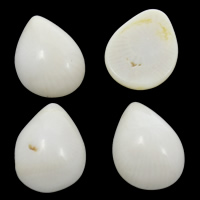 Φυσικό Coral Cabochon, Teardrop, φυσικός, επίπεδη πλάτη, λευκό, 12x17x5mm, 10PCs/τσάντα, Sold Με τσάντα