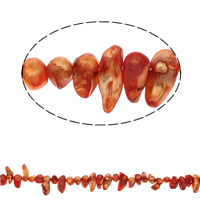 Perles de nacre de culture d'eau douce Biwa, perle d'eau douce cultivée, Pipa, orange rougeâtre, 9-25mm, Trou:Environ 1mm, Vendu par Environ 14.5 pouce brin