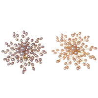 Sladkovodní Pearl Brož, s Mosaz, Květina, barva pozlacený, přírodní, více barev na výběr, 4-5mm, 7-8mm, 73x14mm, Prodáno By PC