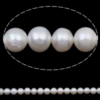 Knapp odlad sötvattenspärla pärlor, Freshwater Pearl, naturlig, vit, 6-7mm, Hål:Ca 0.8mm, Såld Per Ca 15.7 inch Strand