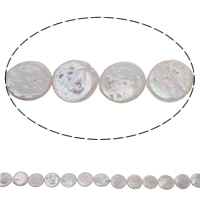 Monetų Kultūringas gėlavandenių perlų karoliukai, Gėlo vandens perlų, Moneta, natūralus, baltas, 13-14mm, Skylė:Apytiksliai 0.8mm, Parduota už Apytiksliai 15.5 Inch Strand