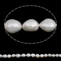 Barock odlad sötvattenspärla pärlor, Freshwater Pearl, naturlig, vit, 12-13mm, Hål:Ca 0.8mm, Såld Per Ca 15.7 inch Strand