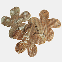 Pingentes de concha, with Concha alabone, Flor, naturais, 54-58x54-57x3-4mm, Buraco:Aprox 3mm, 20PCs/Lot, vendido por Lot