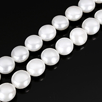 South Sea Shell Beads, Flat Round, natural, white, 12x12x8mm, Hole:Approx 0.2mm, Length:Approx 16 Inch, 5Strands/Lot, Approx 34PCs/Strand, Sold By Lot