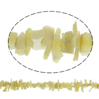 Perles de coquillage jaune naturel, coquille jaune, chips, 1x7mm-5x15x7mm, Trou:Environ 1mm, Environ 80PC/brin, Vendu par Environ 15.5 pouce brin