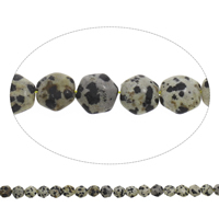 Dalmatinische Perlen, Dalmatiner, Sechseck, 11x10x5mm, Bohrung:ca. 1mm, ca. 38PCs/Strang, verkauft per ca. 15 ZollInch Strang