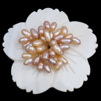 Freshwater Pearl Broche, Ferskvandsperle, med White Shell & Messing, Flower, forgyldt, naturlige, 3-4mm, 58x14mm, Solgt af PC