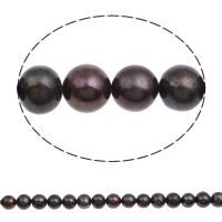 Bulvių išauginti gėlavandenių perlų karoliukai, Gėlo vandens perlų, Bulvė, juodas, 9-10mm, Skylė:Apytiksliai 0.8mm, Parduota už Apytiksliai 15.5 Inch Strand