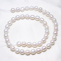 Ris odlad sötvattenspärla pärlor, Freshwater Pearl, naturlig, vit, 7-8mm, Hål:Ca 0.8mm, Såld Per Ca 15.5 inch Strand