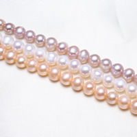 Brambor pěstované sladkovodní perle, Sladkovodní Pearl, přírodní, více barev na výběr, 7-8mm, Otvor:Cca 0.8mm, Prodáno za Cca 15.5 inch Strand