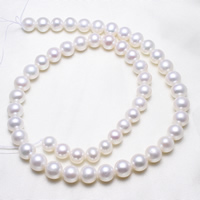 Runde ferskvandskulturperle Beads, Ferskvandsperle, naturlig, hvid, 8-9mm, Hole:Ca. 0.8mm, Solgt Per Ca. 15.5 inch Strand