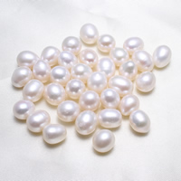 Naturel d'eau douce perles, perle d'eau douce cultivée, aucun trou, blanc, 9-9.5mm, 10PC/sac, Vendu par sac