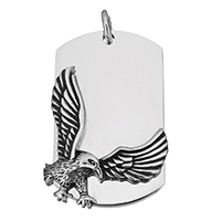 Stainless Steel Animal Pendants Eagle blacken Approx 6mm Sold By PC