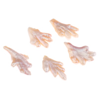 Naturalne perły słodkowodne perełki luźne, Perła naturalna słodkowodna, Keishi, bez otworu, 21x36x8mm-23x46x12mm, sprzedane przez PC
