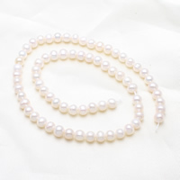 Bulvių išauginti gėlavandenių perlų karoliukai, Gėlo vandens perlų, Bulvė, natūralus, baltas, 5-6mm, Skylė:Apytiksliai 0.8mm, Parduota už Apytiksliai 15.5 Inch Strand