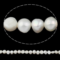 Bulvių išauginti gėlavandenių perlų karoliukai, Gėlo vandens perlų, Barokas, natūralus, baltas, Įvertinimas, 13-14mm, Skylė:Apytiksliai 0.8mm, Parduota už 15 Inch Strand