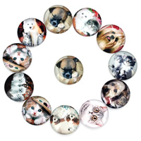 Glass Cabochon Flat Round animal design & time gem jewelry & mixed pattern & flat back & decal Sold By Bag