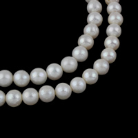 Brambor pěstované sladkovodní perle, Sladkovodní Pearl, přírodní, bílý, Grade, 10-11mm, Otvor:Cca 0.8mm, Prodáno za Cca 15 inch Strand
