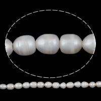 Riso coltivato in perla d'acqua dolce, perla d'acquadolce coltivata naturalmente, naturale, bianco, 11-12mm, Foro:Appross. 2mm, Venduto da filo