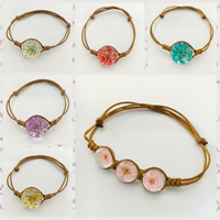 Zinc Alloy Bracelet Glass with Dried Flower & Nylon Cord Round handmade adjustable 18mm Sold Per Approx 7 Inch Strand