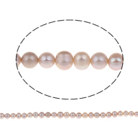 Clearance ferskvands perle perler, Ferskvandsperle, Kartoffel, naturlig, lilla, klasse A, 6-7mm, Hole:Ca. 0.8mm, Solgt Per Ca. 14.5 inch Strand