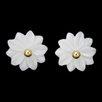 White Shell Stud Earring with Brass Flower gold color plated Sold By Pair