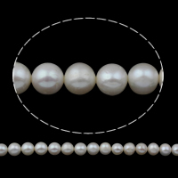 Brambor pěstované sladkovodní perle, Sladkovodní Pearl, přírodní, bílý, 9-10mm, Otvor:Cca 0.8mm, Prodáno za Cca 15 inch Strand