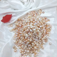 Perles nacres sans trou de culture d'eau douce, perle d'eau douce cultivée, naturel, aucun trou, 5-7mm, 500sol/sac, Vendu par sac