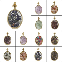 Pingentes em  jóias, misto de pedras semi-preciosas, with vidro & liga de zinco, cromado de cor dourada, misto, 28x49x13mm, Buraco:Aprox 5x4mm, 5PCs/Bag, vendido por Bag