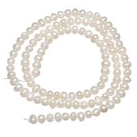 Bulvių išauginti gėlavandenių perlų karoliukai, Gėlo vandens perlų, Bulvė, natūralus, baltas, 3-4mm, Skylė:Apytiksliai 0.5mm, Parduota už Apytiksliai 15 Inch Strand