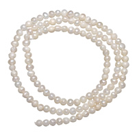 Bulvių išauginti gėlavandenių perlų karoliukai, Gėlo vandens perlų, Bulvė, natūralus, baltas, 2-3mm, Skylė:Apytiksliai 0.8mm, Parduota už Apytiksliai 15 Inch Strand