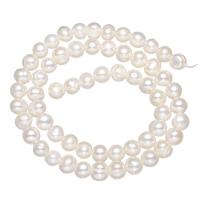 Brambor pěstované sladkovodní perle, Sladkovodní Pearl, přírodní, bílý, 5-6mm, Otvor:Cca 0.8mm, Prodáno za Cca 14.2 inch Strand