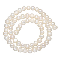 Brambor pěstované sladkovodní perle, Sladkovodní Pearl, přírodní, bílý, 5-6mm, Otvor:Cca 0.8mm, Prodáno za Cca 14 inch Strand