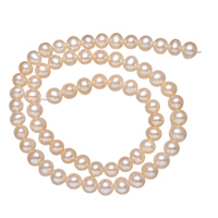 Perlas Redondas Freshwater, Perlas cultivadas de agua dulce, Esférico, natural, Rosado, 5-6mm, agujero:aproximado 0.8mm, Vendido para 15.5 Inch Sarta
