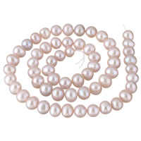 Brambor pěstované sladkovodní perle, Sladkovodní Pearl, přírodní, nachový, 7-8mm, Otvor:Cca 0.8mm, Prodáno za Cca 15.7 inch Strand