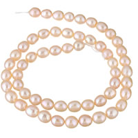Brambor pěstované sladkovodní perle, Sladkovodní Pearl, přírodní, růžový, 6-7mm, Otvor:Cca 0.8mm, Prodáno za Cca 15.3 inch Strand