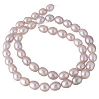 Přírodní sladkovodní perly perlí, Sladkovodní Pearl, nachový, 6-7mm, Otvor:Cca 0.8mm, Prodáno za Cca 15.5 inch Strand