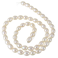 Riso coltivato in perla d'acqua dolce, perla d'acquadolce coltivata naturalmente, naturale, bianco, 6-7mm, Foro:Appross. 0.8mm, Venduto per Appross. 15.7 pollice filo